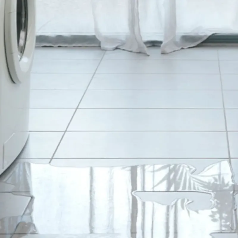 Appliance Leak Cleanup in Emporia, VA