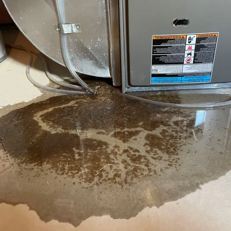 Pipe Burst and Leak Restoration in Emporia, VA