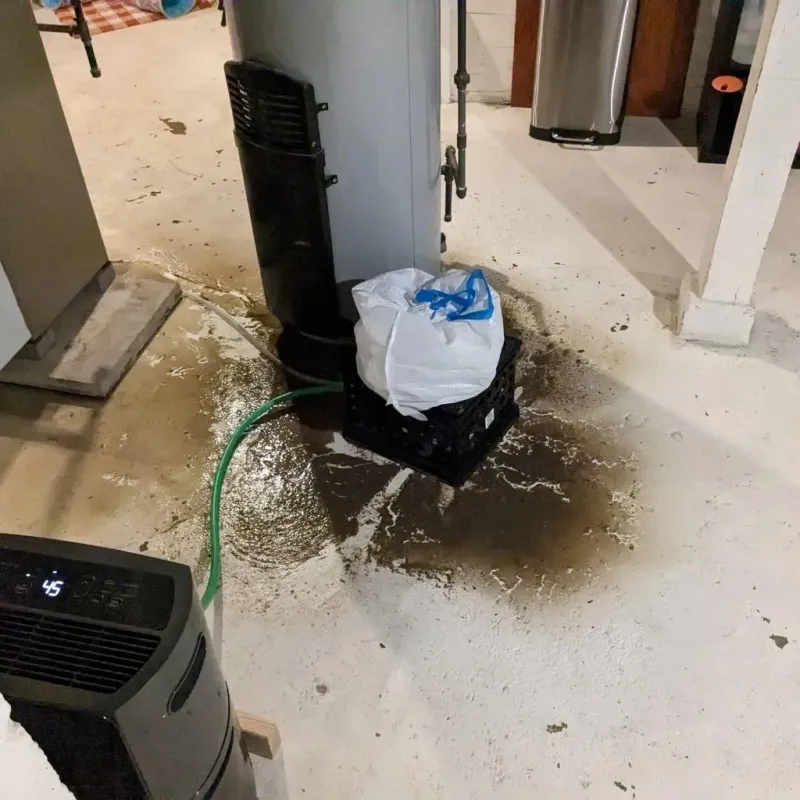 Sewage Backup Cleanup Service in Emporia, VA